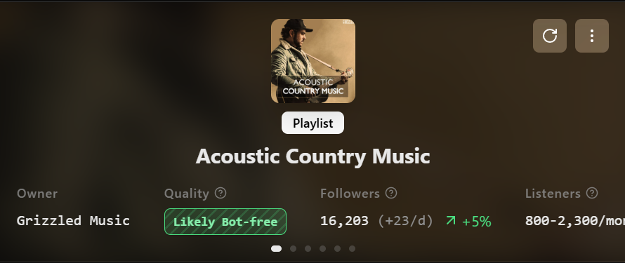 Acoustic Country Music