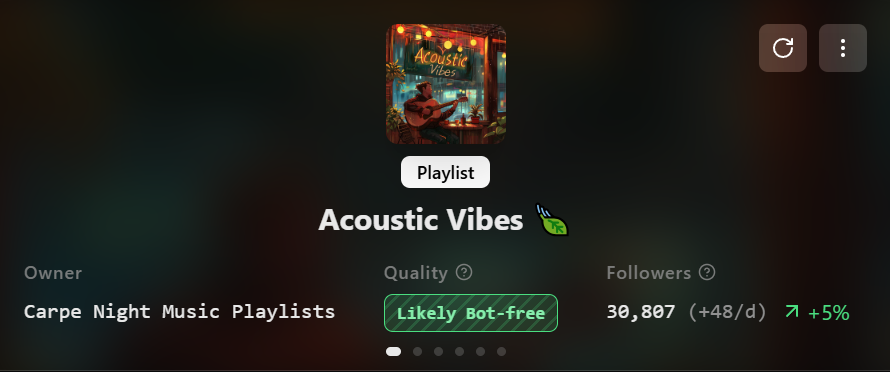 Acoustic Vibes